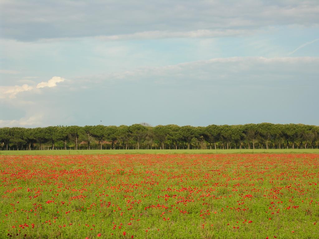 Appartamenti Villaggio San Siro Bibione Ngoại thất bức ảnh